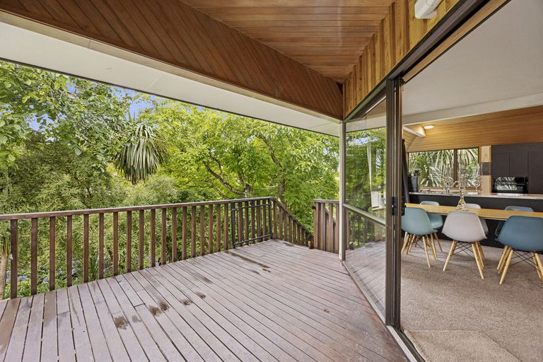 Photo of property in 43 Pacific Street, Roslyn, Dunedin, 9010