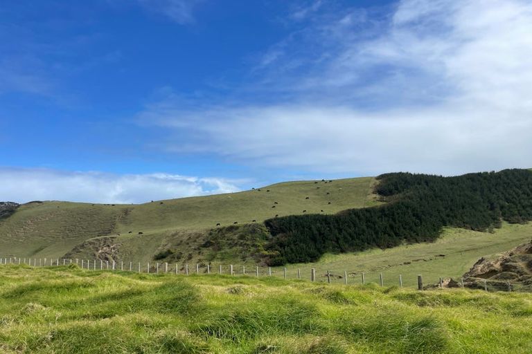 Photo of property in 7 Snapper Street, Baylys Beach, 0377