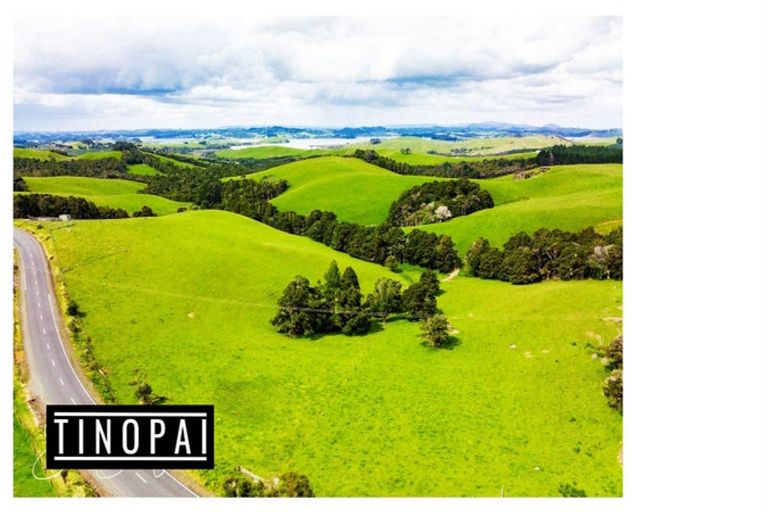 Photo of property in 1509 Tinopai Road, Tinopai, Matakohe, 0593
