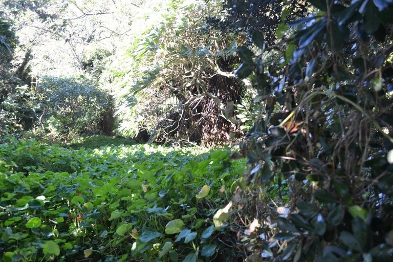 Photo of property in 31 Lawry Street, Blagdon, New Plymouth, 4310