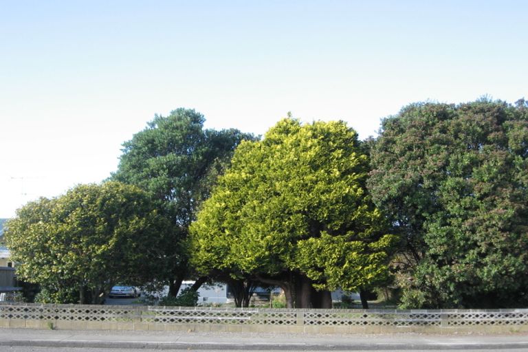 Photo of property in 12 Domain Road, Otaki, 5512