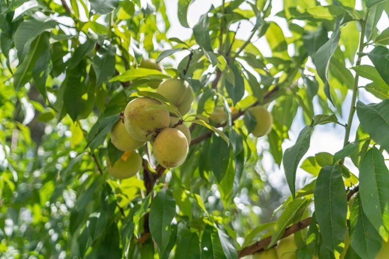 Photo of property in 181 Old Parua Bay Road, Abbey Caves, Whangarei, 0175