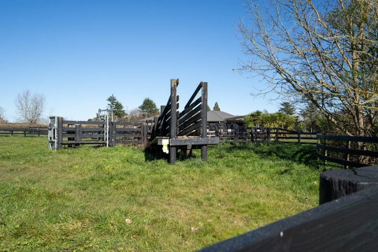 Photo of property in 146 French Pass Road, Cambridge, 3496