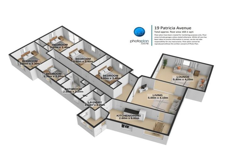 Photo of property in 19 Patricia Avenue, Hamilton East, Hamilton, 3216