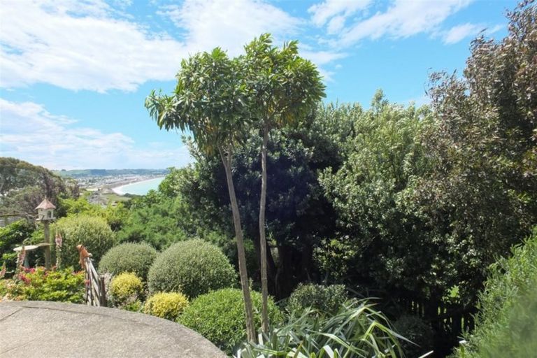 Photo of property in 63 Tyne Street, South Hill, Oamaru, 9400