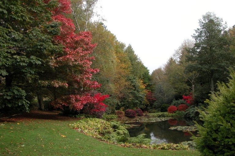 Photo of property in 38 Grammar Street, Kimbolton, 4777