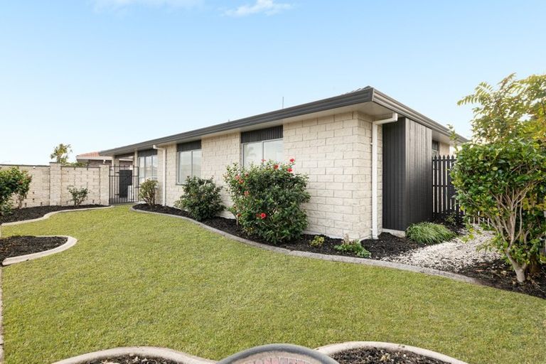 Photo of property in 203a Grenada Street, Mount Maunganui, 3116