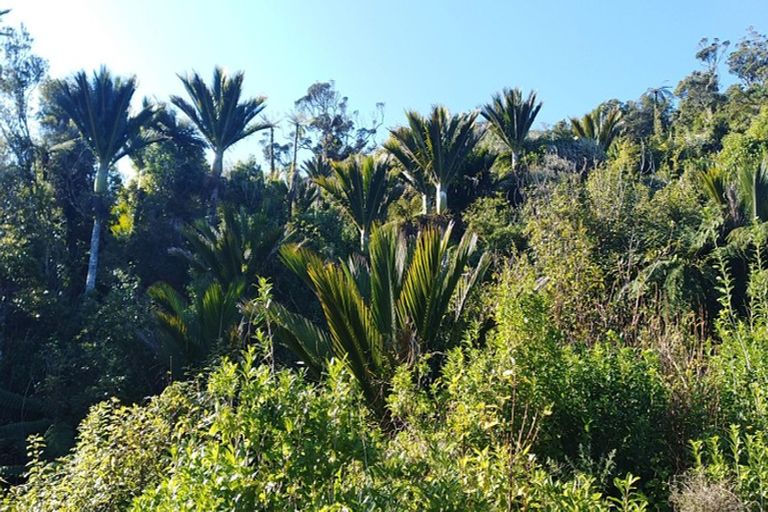 Photo of property in 3316 Coast Road, Barrytown, Runanga, 7873