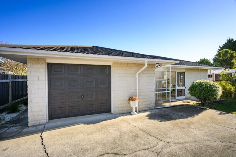 Photo of property in 50a Burns Avenue, Takaro, Palmerston North, 4412