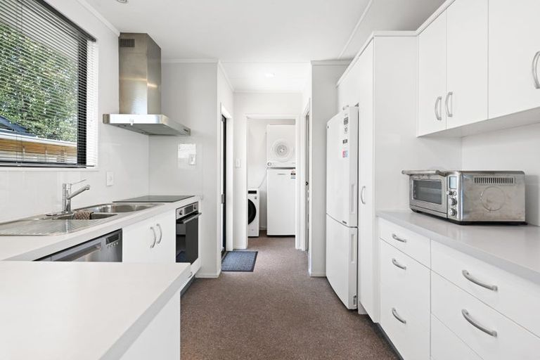 Photo of property in 4b Palmer Street, Hamilton East, Hamilton, 3216