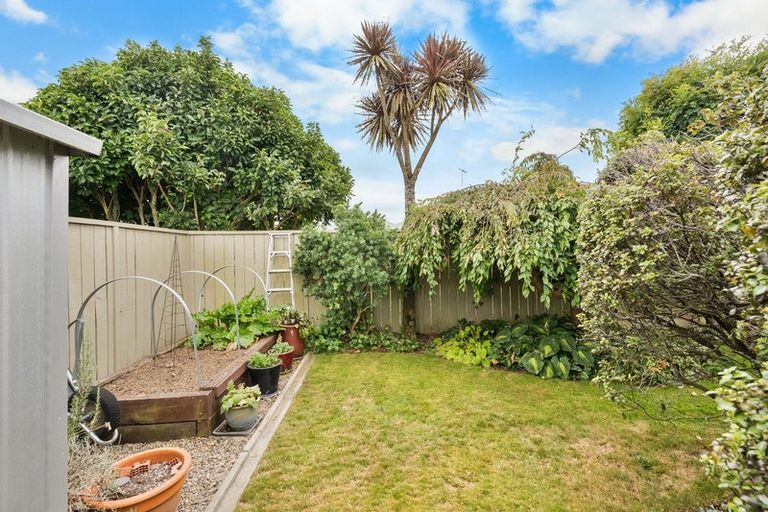 Photo of property in 14 Alba Place, Cambridge, 3434