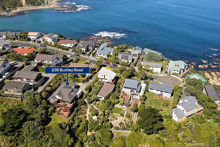 Photo of property in 236 Buckley Road, Southgate, Wellington, 6023