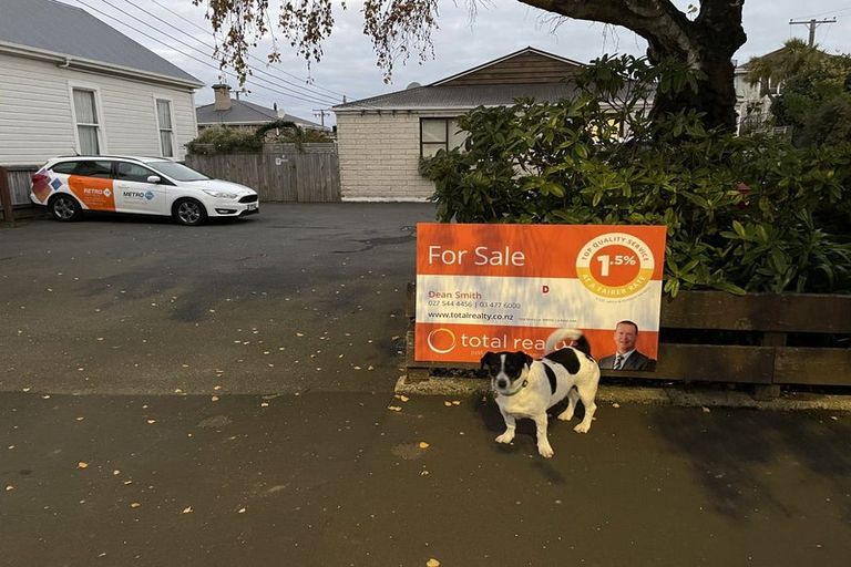 Photo of property in 123d Macandrew Road, South Dunedin, Dunedin, 9012