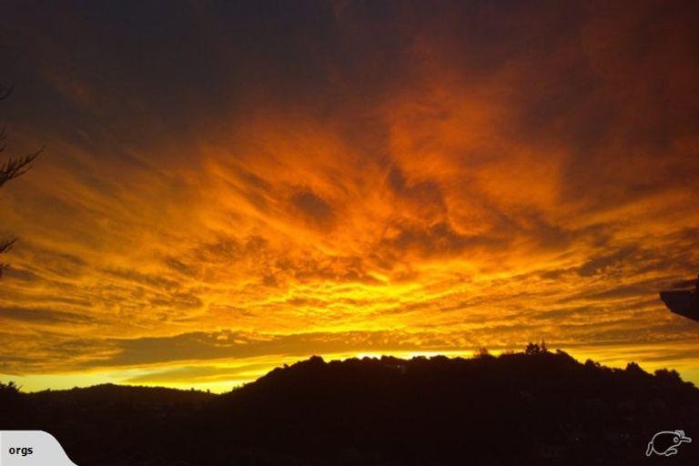 Photo of property in 42 Sailmaker Close, Whitby, Porirua, 5024