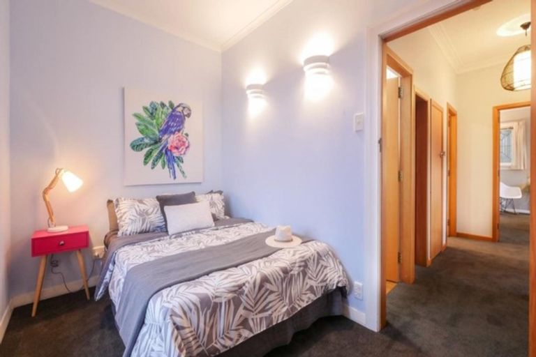 Photo of property in 161 Signal Hill Road, Opoho, Dunedin, 9010