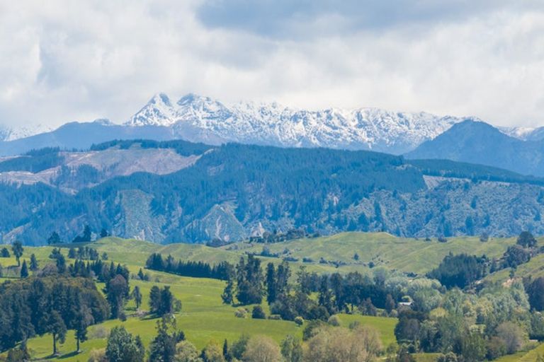 Photo of property in 67 Rosedale Road, Pinehill, Auckland, 0632