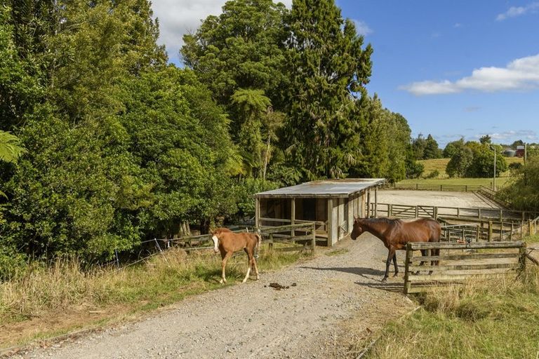 Photo of property in 1956b Pyes Pa Road, Oropi, Tauranga, 3173