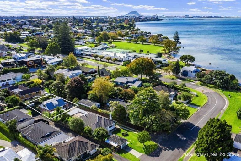 Photo of property in 13a Burrows Street, Tauranga South, Tauranga, 3112