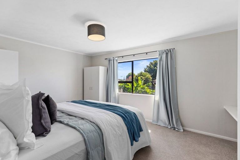 Photo of property in 175 Cameron Road, Te Puke, 3119