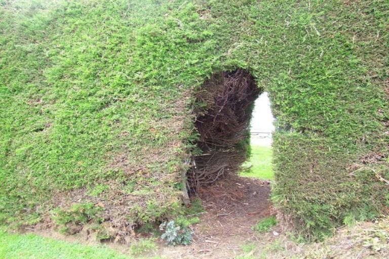 Photo of property in 17 Cross Street, Milton, 9220