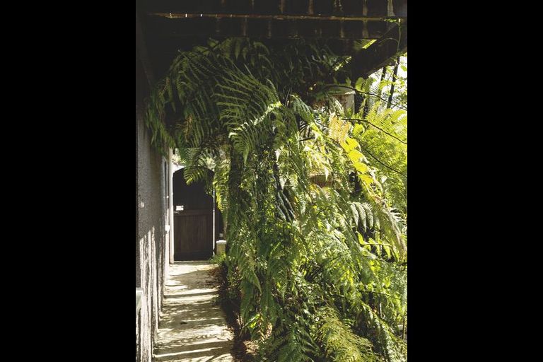 Photo of property in 38 Falcon Street, Kaikorai, Dunedin, 9010