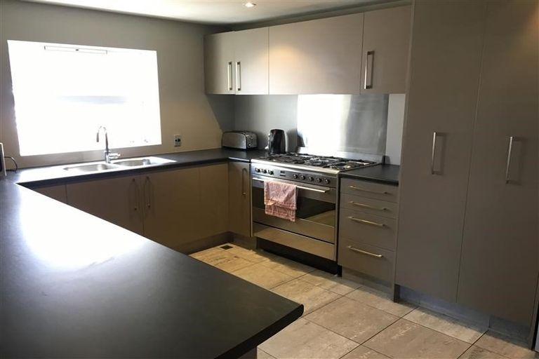 Photo of property in 1/2 Manor Place, Dunedin Central, Dunedin, 9016