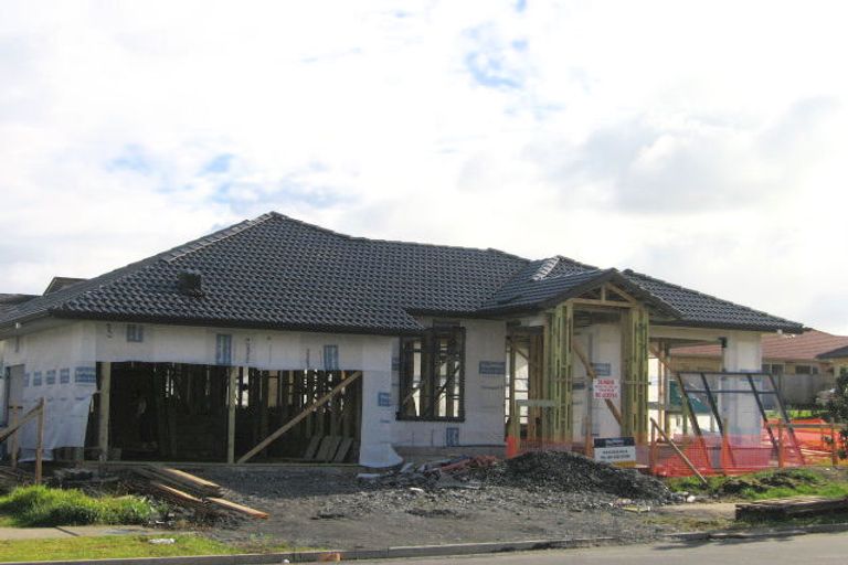 Photo of property in 101 Wayne Francis Drive, Flat Bush, Auckland, 2016