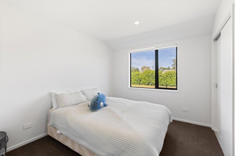 Photo of property in 5 Brook Street, Renwick, 7204