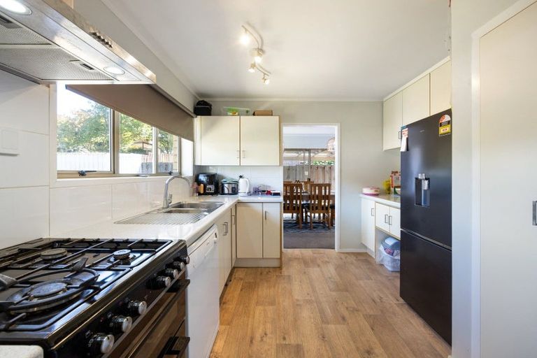 Photo of property in 66 Hazelwood Avenue, Dinsdale, Hamilton, 3204