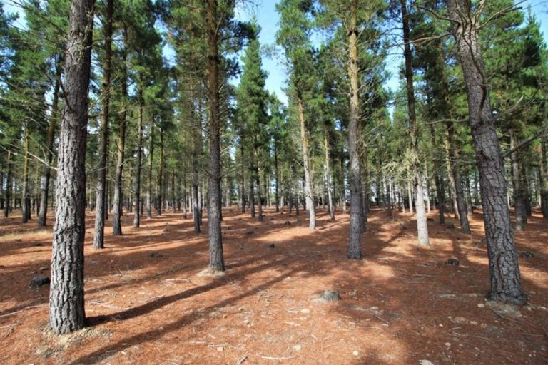 Photo of property in 390d Letts Gully Road, Letts Gully, Alexandra, 9393