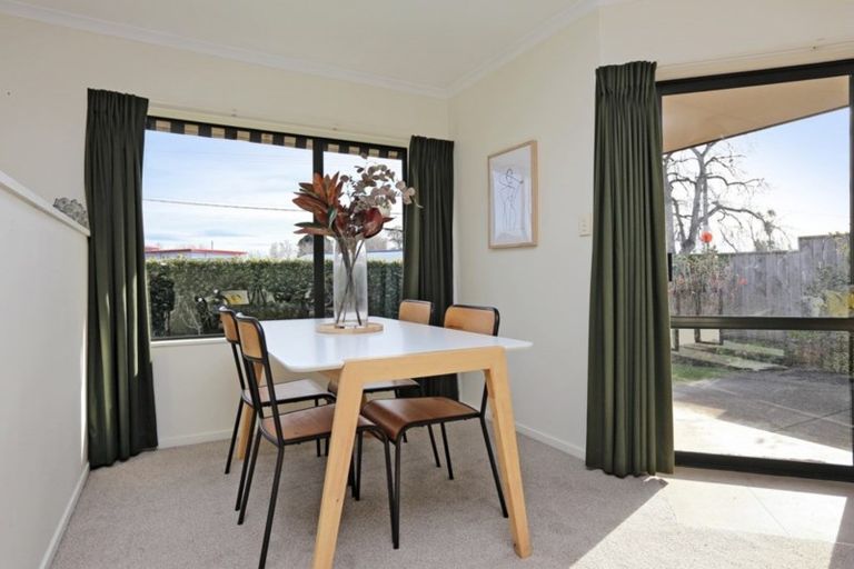 Photo of property in 14 Campbell Street, Havelock North, 4130