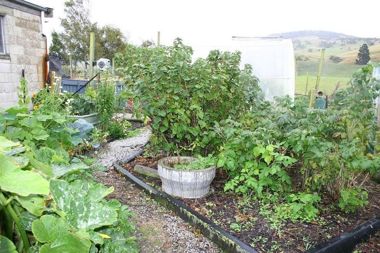 Photo of property in 113 Main Road, Waikouaiti, 9510