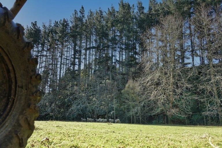 Photo of property in 288 Oropi Gorge Road, Oropi, Tauranga, 3173