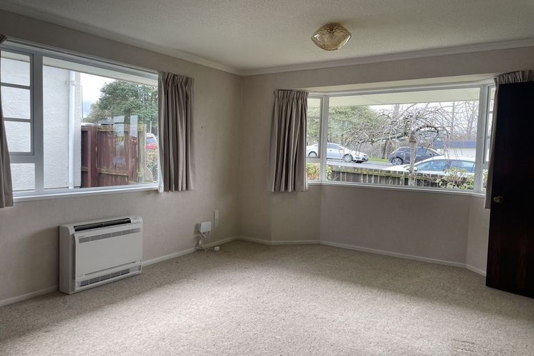 Photo of property in 161b Eglinton Road, Mornington, Dunedin, 9011