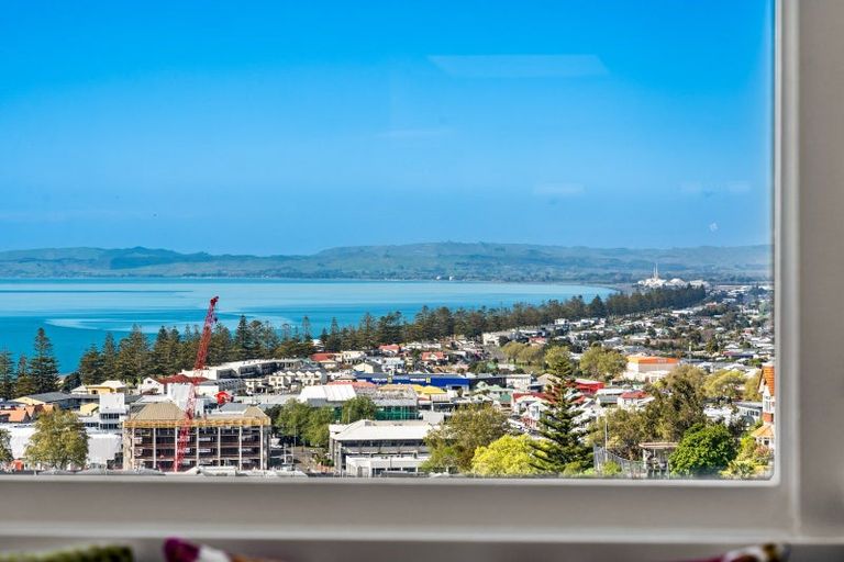 Photo of property in 14 Corry Avenue, Bluff Hill, Napier, 4110