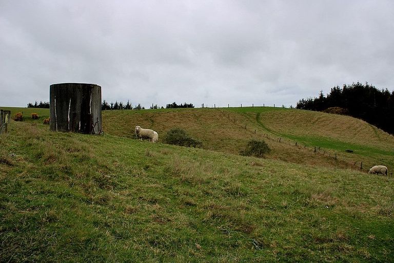 Photo of property in 20 Old Port Road, Warepa, Balclutha, 9273