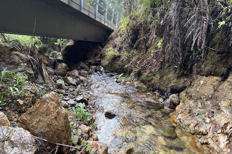 Photo of property in 980 Buffalo Road, Coromandel, 3506