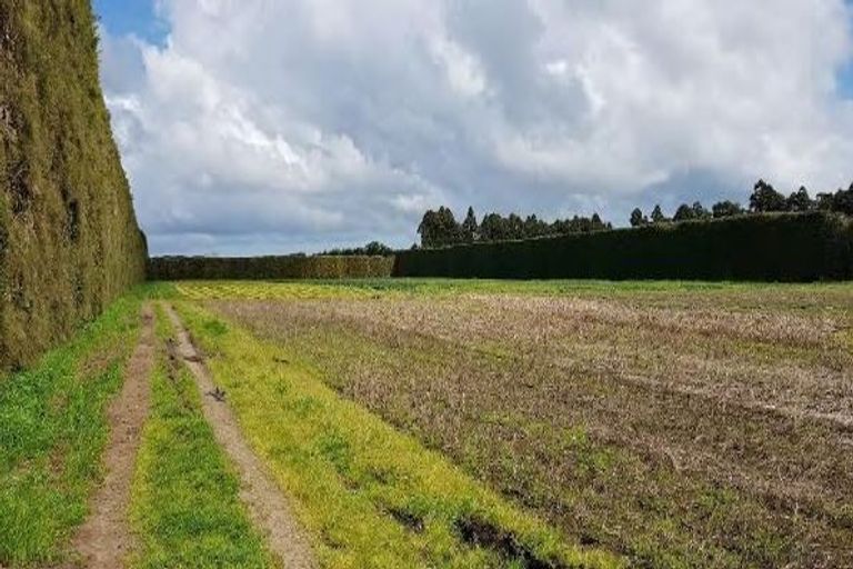 Photo of property in 328 Riverhead Road, Riverhead, 0892