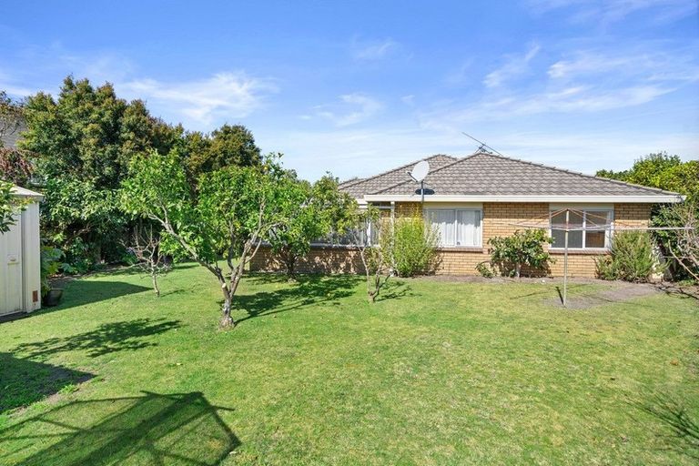 Photo of property in 39 Sunrise Avenue, Mount Maunganui, 3116