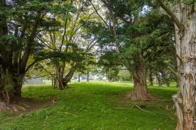 Photo of property in 1714a Orini Road, Orini, Taupiri, 3792