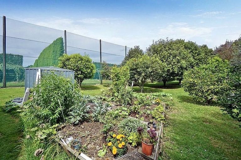 Photo of property in 3 Donelle Place, Te Puke, 3119