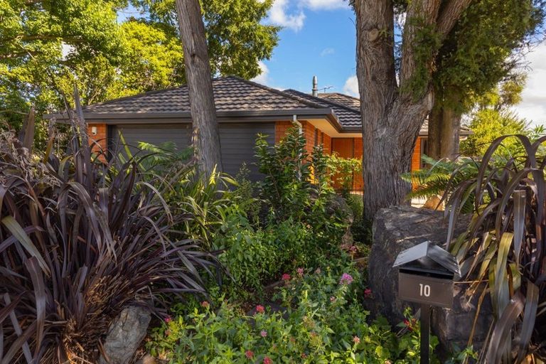 Photo of property in 10 Stephenson Street, Blenheim, 7201