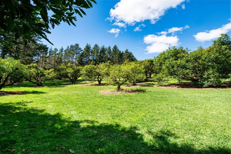 Photo of property in 168 Youngson Road, Whakamarama, Tauranga, 3179