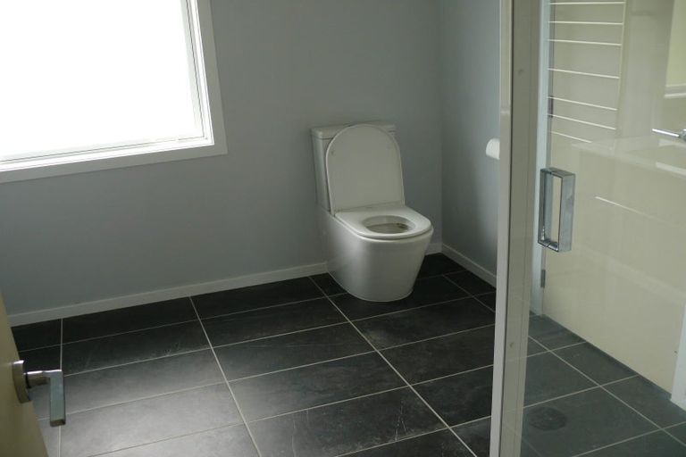 Photo of property in 270 Te Whiti Road, Homebush, Masterton, 5885