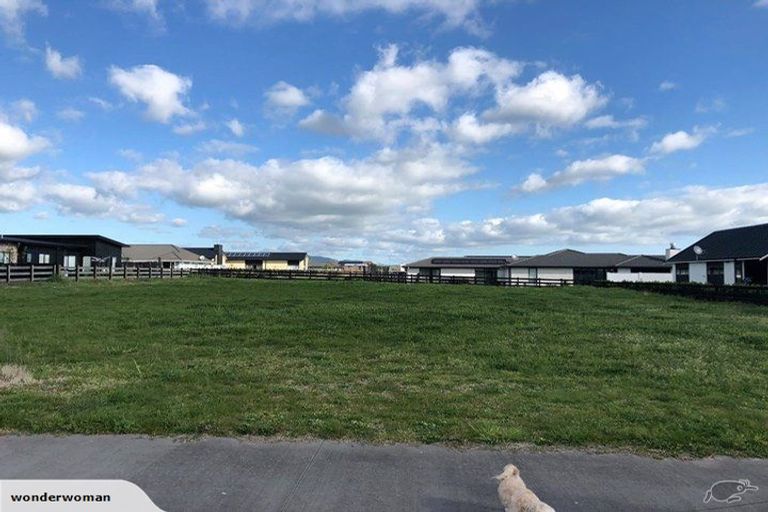 Photo of property in 72 Alan Livingston Drive, Cambridge, 3434