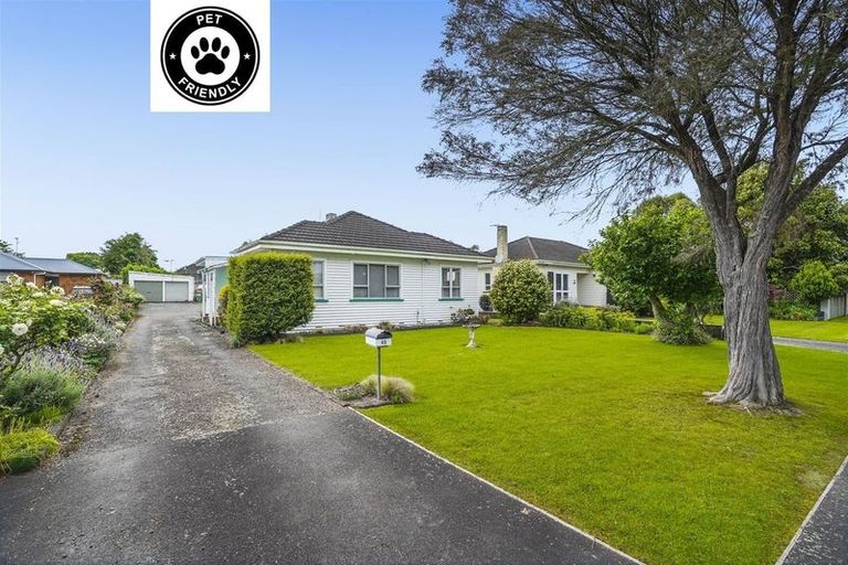 Photo of property in 46 Haultain Street, Fairfield, Hamilton, 3214