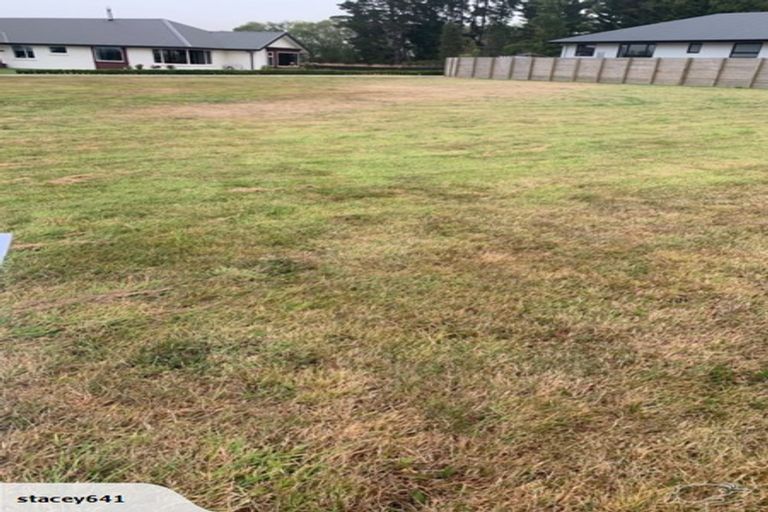 Photo of property in 14 Hunter Crescent, Waimate, 7924