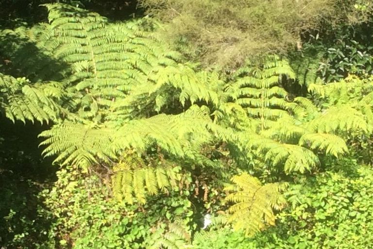 Photo of property in 88 Caie Road, Mangatawhiri, 2471