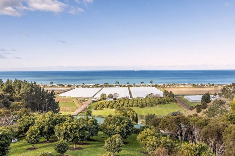 Photo of property in 210 Kaimata Road, Bay View, Napier, 4182