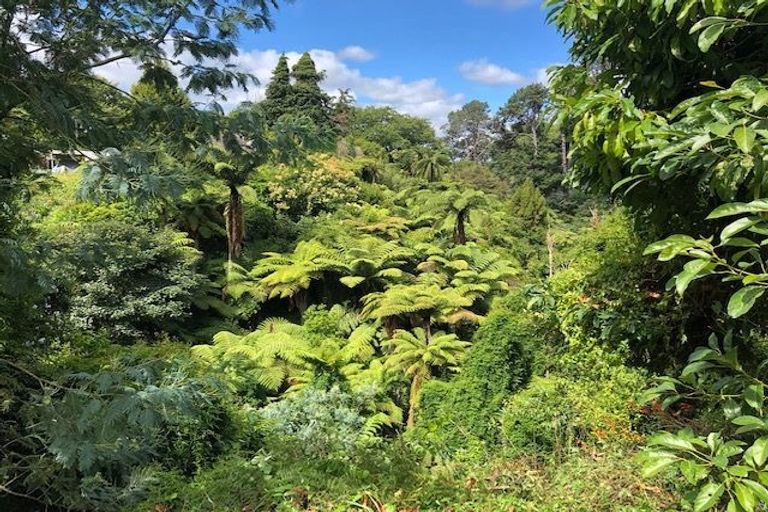 Photo of property in 13a Selwyn Street, Hamilton Central, Hamilton, 3204